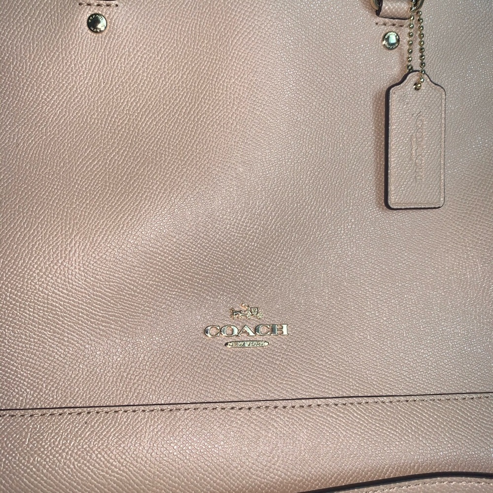 Nude Coach Sierra Satchel